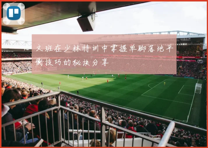 文班在少林特训中掌握单脚落地平衡技巧的秘诀分享