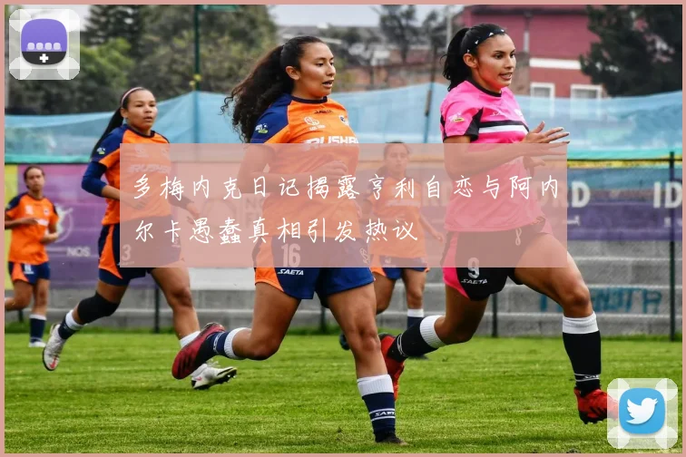多梅内克日记揭露亨利自恋与阿内尔卡愚蠢真相引发热议