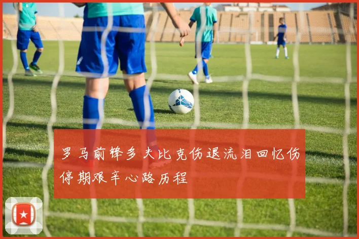 罗马前锋多夫比克伤退流泪回忆伤停期艰辛心路历程